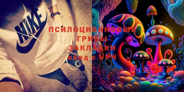 мдпв Лагань