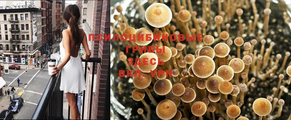 мдпв Лагань