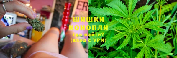 мдпв Лагань