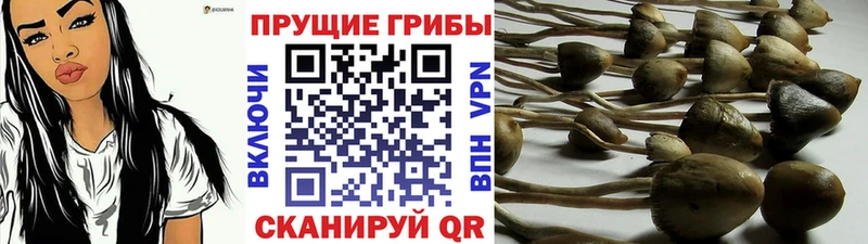 Галлюциногенные грибы Magic Shrooms Узловая